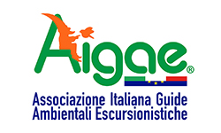 Aigae